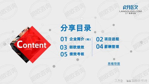 朗歐咨詢駐廠管理輔導實操案例 薪酬績效管理體系如何打造